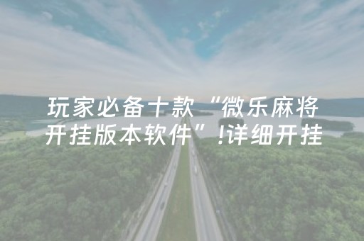 玩家必备十款“微乐麻将开挂版本软件”!详细开挂教程-抖音