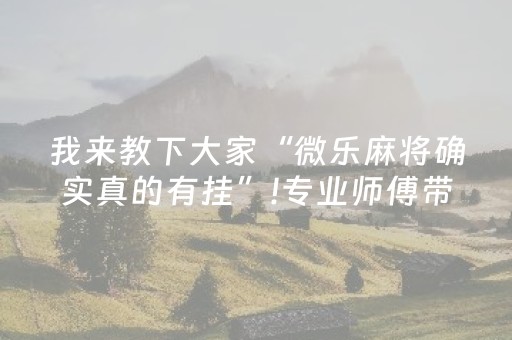 推荐十款“微乐陕西麻将怎么让系统发好牌”（开挂辅助脚本)