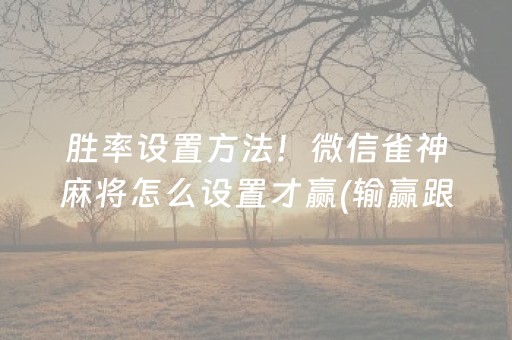胜率设置方法！微信雀神麻将怎么设置才赢(输赢跟系统有关系吗)