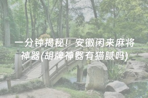 一分钟揭秘！安徽闲来麻将神器(胡牌神器有猫腻吗)