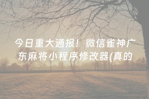 今日重大通报！微信雀神广东麻将小程序修改器(真的有挂)