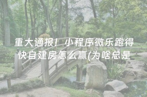 7分钟揭秘“手机跑得快怎么让系统给你发好牌”（做弊器软件下载)