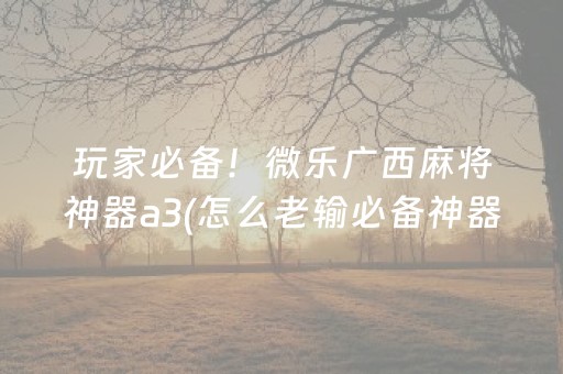玩家必备！微乐广西麻将神器a3(怎么老输必备神器)