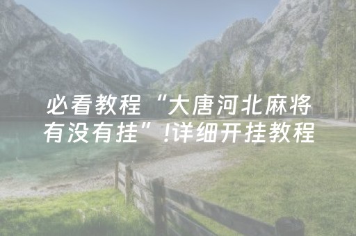安装程序教程“微乐辽宁麻将专用神器”（怎么能调好牌)