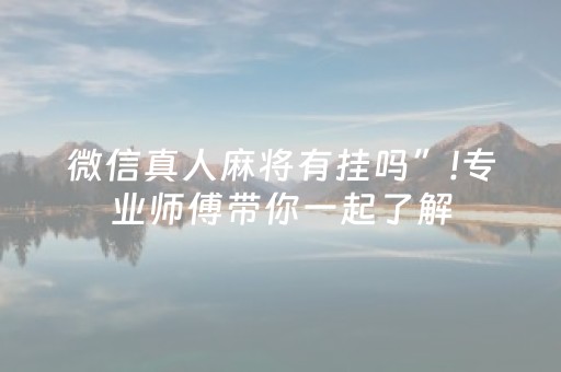 给大家科普一下“微乐锄大地插件购买”（辅牌器插件购买)