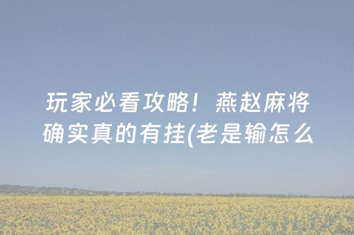 玩家必备教程“微乐湖北麻将专用神器”（辅助器通用版)