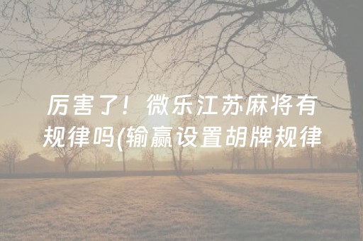 厉害了！微乐江苏麻将有规律吗(输赢设置胡牌规律)