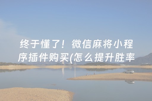 必备教程“微乐湖北麻将专用神器”（透明器教程)