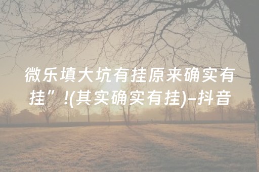 玩家必备十款“微乐陕西三代必赢神器”（控牌神器)