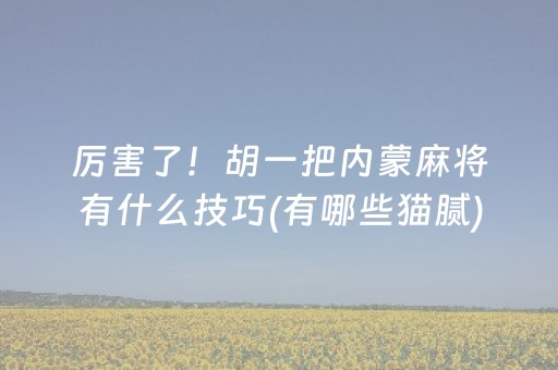 必看盘点揭秘“微乐陕西麻将专用神器”（怎么能调好牌)
