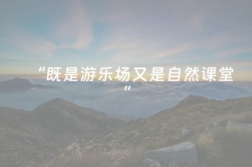 一分钟了解“微信打麻将可以作假吗”（提高胜率软件)