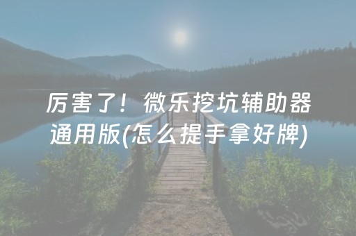 厉害了！微乐挖坑辅助器通用版(怎么提手拿好牌)