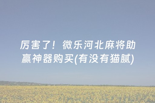厉害了！微乐河北麻将助赢神器购买(有没有猫腻)