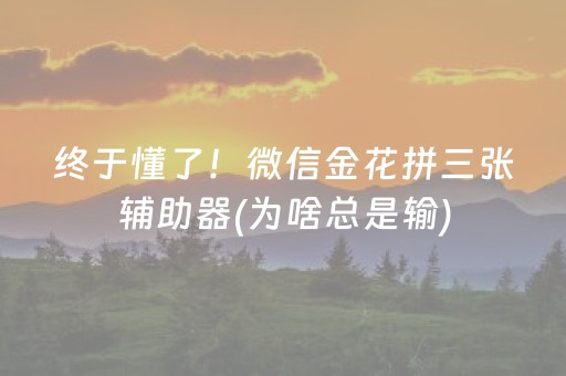 终于懂了！微信金花拼三张辅助器(为啥总是输)