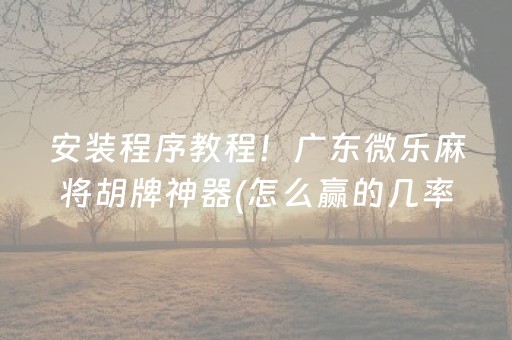 一分钟了解“微信小程序财神十三张外卦辅助器”（充会员胜率高)