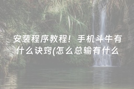 安装程序教程！手机斗牛有什么诀窍(怎么总输有什么猫腻)