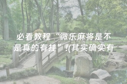 必看教程“微乐麻将是不是真的有挂”!(其实确实有挂)-抖音
