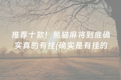 推荐十款！熊猫麻将到底确实真的有挂(确实是有挂的)