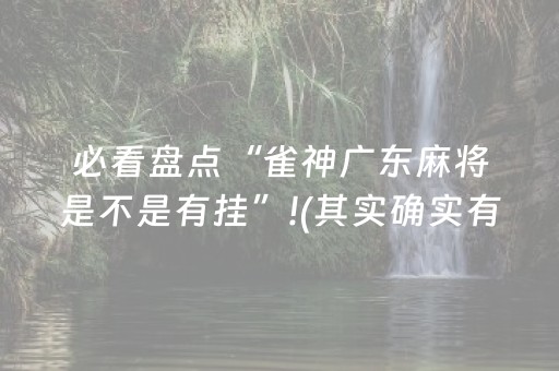 必看盘点“雀神广东麻将是不是有挂”!(其实确实有挂)-抖音