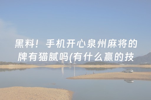 一分钟了解“微信小程序微乐麻将助赢神器”（透明挂辅助器)