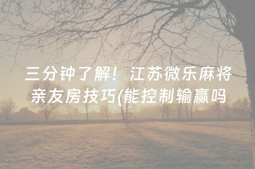 玩家必看“小程序麻将助赢神器”（外辅工具)