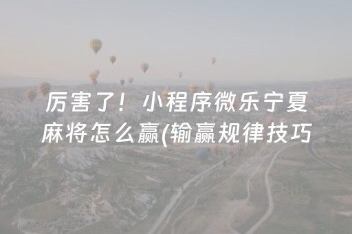 玩家必备“微乐麻将神器通用版”（软件出售)