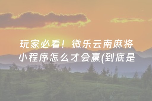 玩家必看攻略“微信小程序麻将怎么提高胜率”（免费专用神器)