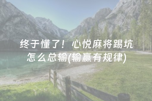 给大家科普一下“微信小程序跑得快辅助器工具”（怎么设置才能赢)