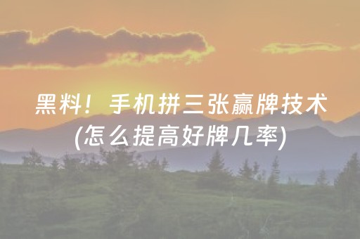 玩家必看攻略“微乐卡五星辅助器”（插件开挂免费AI)