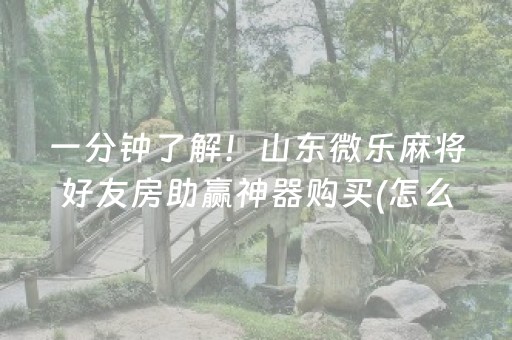一分钟了解！山东微乐麻将好友房助赢神器购买(怎么老输必备神器)