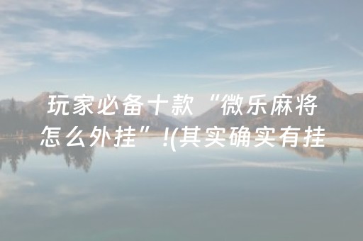 玩家必看攻略“填大坑辅助器免费版”（透明器教程)