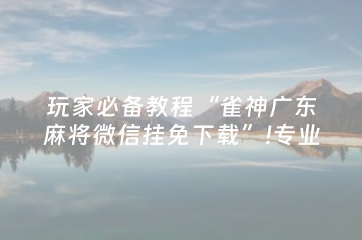 玩家必备教程“雀神广东麻将微信挂免下载”!专业师傅带你一起了解（详细教程）-抖音