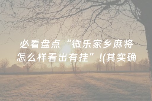 必看盘点“微乐家乡麻将怎么样看出有挂”!(其实确实有挂)-抖音