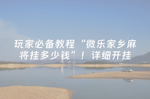 玩家必备教程“微乐家乡麻将挂多少钱”！详细开挂教程（确实真的有挂)-抖音