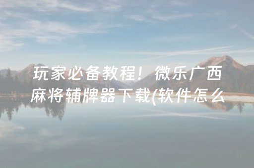介绍十款“微乐湖北麻将开挂神器”（究竟是不是有挂)