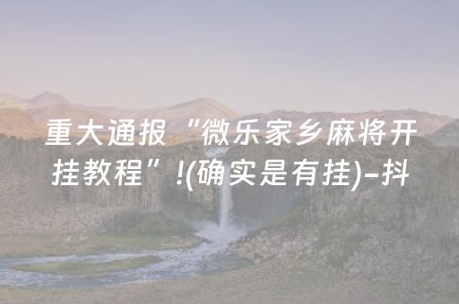 必备攻略“微乐湖北麻将助赢神器购买”（辅助神器免费)