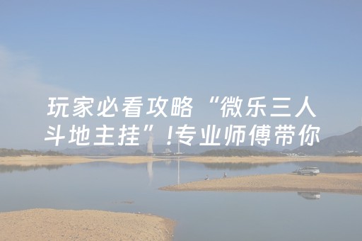 给玩家盘点十款“微乐江苏麻将开挂神器”（开挂辅助器脚本)