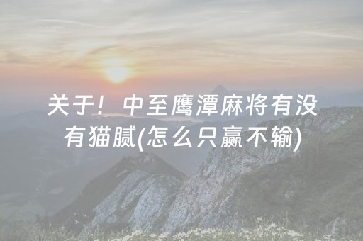 厉害了“微信小程序微乐河北麻将神器”（自建房胜负规律)