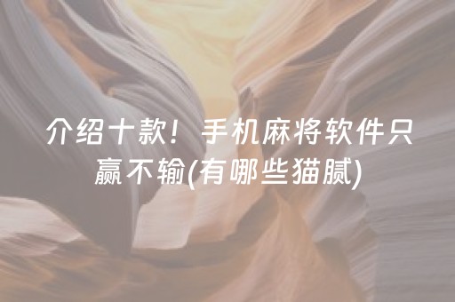 玩家必备攻略“微乐宁夏麻将插件”（辅助器插件)