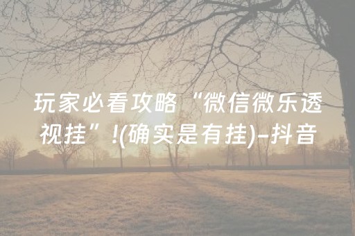 一分钟揭秘“微乐湖北麻将专用神器”（透明器教程)