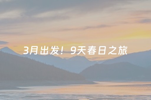 一分钟了解“微乐广东麻将插件下载”（插件可信吗)