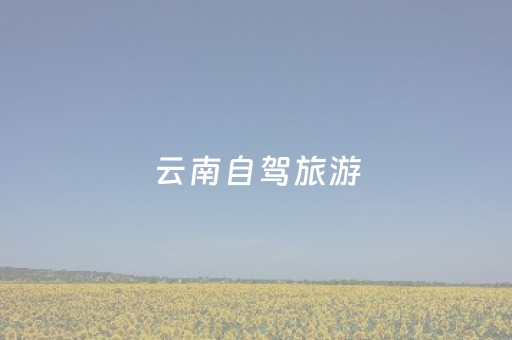 玩家必备十款“微信打麻将可以作假吗”（做弊器软件下载)