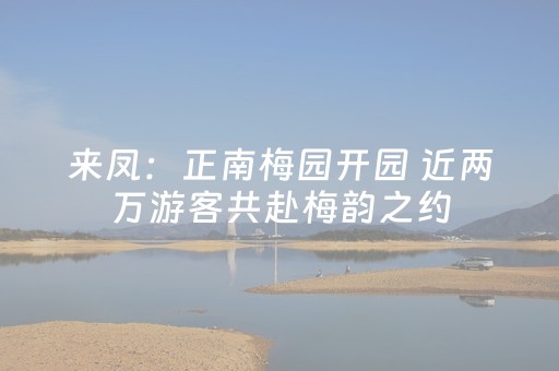 给大家科普一下“雀神广东麻将挂的骗局”（外辅工具)