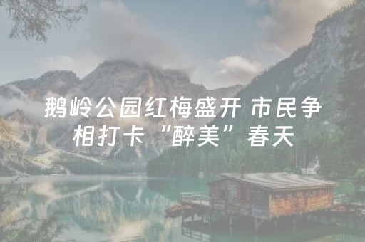 玩家必备教程“财神十三张特殊牌开挂”（怎么设置能有好牌)