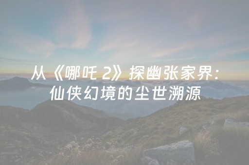 安装程序教程“微乐海南麻将专用辅助神器”（辅助器插件)