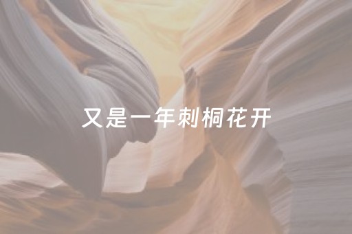 玩家必看攻略“微乐湖北麻将专用神器”（做弊器软件下载)