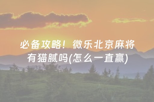 盘点十款“小程序微乐麻将万能开挂器”（专用神器下载)