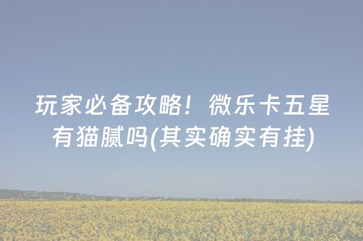 玩家必备攻略“雀神广东麻将软件出售”（辅助器下载)