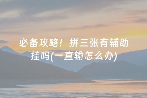 玩家必备“微信小程序财神十三张有辅助软件吗”（技巧和打好牌方法)