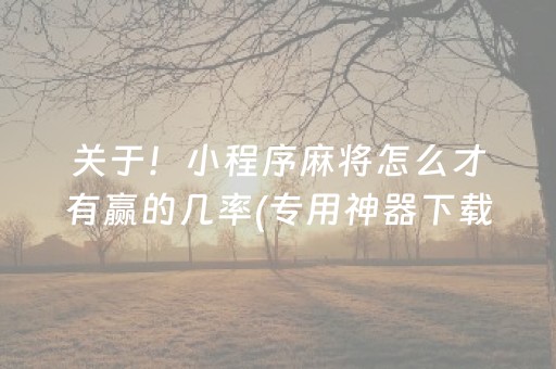 必看盘点揭秘“微乐陕西三代必赢神器”（为什么有人一直赢)